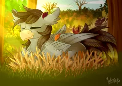 Size: 4093x2894 | Tagged: safe, artist:julunis14, derpibooru import, oc, oc:luxor, unofficial characters only, classical hippogriff, hippogriff, pony, autumn, behaving like a bird, bird nest, eyes closed, image, leaf, png, relaxing