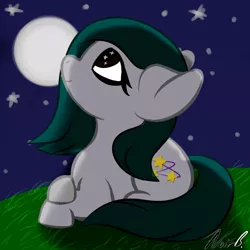 Size: 1000x1000 | Tagged: safe, artist:noir-b, derpibooru import, oc, oc:tessa, earth pony, pony, female, image, jpeg, looking up, lying down, mare, moon, night, prone, smiling, solo