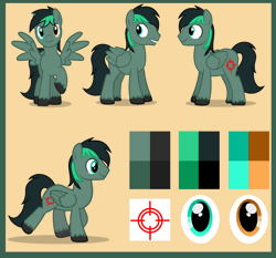 Size: 2376x2211 | Tagged: safe, artist:edelweiss, derpibooru import, oc, oc:target strike, unofficial characters only, pegasus, pony, animated, cutie mark, gif, heterochromia, image, pegasus oc, reference sheet, simple background, solo, spread wings, two toned mane, unshorn fetlocks, walking, wings