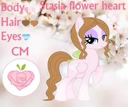 Size: 1280x1072 | Tagged: safe, artist:cindydreamlight, derpibooru import, oc, oc:flower heart, pegasus, pony, female, image, mare, png, reference sheet, solo