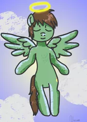 Size: 2000x2800 | Tagged: safe, artist:wrath-marionphauna, derpibooru import, oc, oc:olquifo, unofficial characters only, pegasus, pony, god, image, png, sky, solo