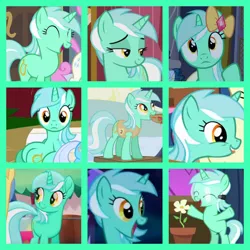 Size: 800x800 | Tagged: safe, artist:twilyisbestpone, derpibooru import, lyra heartstrings, princess luna, pony, unicorn, a canterlot wedding, celestial advice, do princesses dream of magic sheep, dragonshy, my little pony: the movie, season 1, season 2, season 5, season 7, slice of life (episode), winter wrap up, collage, female, filly, filly lyra, flower, image, mare, meme, png, sitting, sitting lyra, solo focus, winter wrap up vest, younger