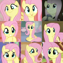 Size: 800x800 | Tagged: safe, artist:twilyisbestpone, derpibooru import, fluttershy, pegasus, pony, blushing, collage, compilation, cute, female, image, mare, png, shyabetes, solo