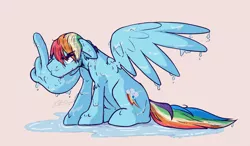 Size: 1280x750 | Tagged: safe, artist:nolycs, derpibooru import, rainbow dash, pegasus, pony, image, jpeg, male, middle feather, middle finger, rainbow blitz, rule 63, simple background, solo, stallion, vulgar, wet, wet mane, wing hands, wings