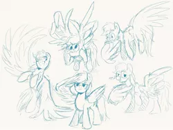 Size: 2000x1515 | Tagged: safe, artist:nolycs, derpibooru import, rainbow dash, pegasus, pony, female, image, jpeg, mare, monochrome, multeity, practice sketch, simple background, sketch, sketch dump, solo, white background, wings