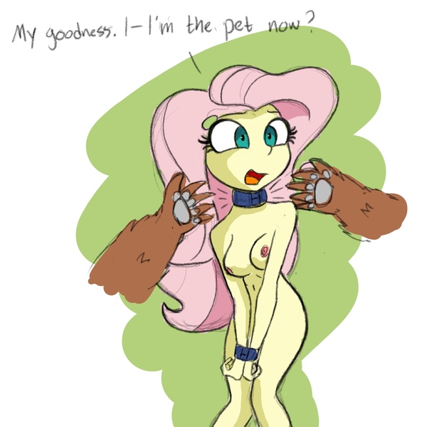 Size: 2048x2048 | Tagged: questionable, artist:stammis, derpibooru import, fluttershy, bear, equestria girls, bestiality, bound wrists, breasts, collar, female, female focus, fetish, flutterzoo, image, interspecies, jpeg, nudity, offscreen character, paws, pov, solo focus