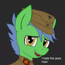 Size: 1024x1024 | Tagged: safe, artist:dr nick taco, ponybooru import, oc, oc:staticspark, pony, bust, image, jpeg, nazi, racism, solo, swastika