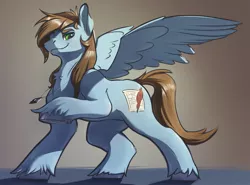 Size: 2237x1652 | Tagged: safe, artist:kam, derpibooru import, oc, oc:sorren, unofficial characters only, pegasus, pony, chest fluff, hooves, image, jpeg, male, pegasus oc, raised hoof, shading, smiling, solo, spread wings, stallion, standing, tail, unshorn fetlocks, wings