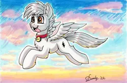Size: 2684x1751 | Tagged: safe, artist:dandy, derpibooru import, oc, oc:bolt the super pony, ponified, unofficial characters only, pegasus, pony, bolt, chest fluff, collar, dog collar, ear fluff, flying, image, marker drawing, pegasus oc, pet tag, png, solo, tongue out, traditional art, wings