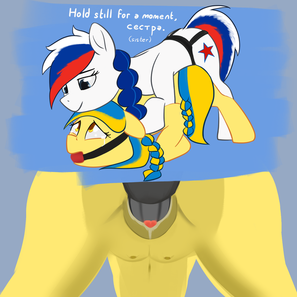 Size: 1500x1500 | Tagged: explicit, grimdark, derpibooru import, oc, oc:marussia, oc:ukraine, ponified, pony, ballgag, clitoris, crotchboobs, face down ass up, female, gag, image, lesbian, nation ponies, nudity, op is a duck, png, rape, russia, sex, sex toy, strapon, ukraine, vaginal secretions, vulva, vulvar winking