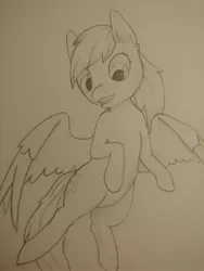 Size: 3492x4656 | Tagged: safe, derpibooru import, derpy hooves, ditzy doo, pegasus, pony, cutie mark, female, flying, image, jpeg, mare, sketch, sketch dump, smiling, solo, spread wings, wings