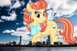 Size: 1600x1068 | Tagged: safe, artist:cheezedoodle96, artist:thegiantponyfan, derpibooru import, edit, aunt holiday, earth pony, pony, boston, female, giant pony, giant/macro earth pony, giantess, highrise ponies, image, irl, macro, mare, massachusetts, mega giant, photo, png, ponies in real life