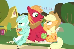 Size: 1800x1200 | Tagged: safe, artist:dm29, derpibooru import, applejack, big macintosh, lyra heartstrings, earth pony, pony, unicorn, bedroom eyes, bench, book, brother and sister, cowboy hat, female, hat, horn, image, looking at each other, looking at someone, lyra is not amused, male, open mouth, park, png, ponyville, reading, siblings, sitting, smiling, smirk, tail, talking, that pony sure does love humans, tree, unamused