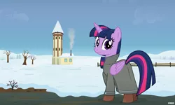 Size: 5000x3000 | Tagged: safe, artist:a4r91n, derpibooru import, twilight sparkle, twilight sparkle (alicorn), alicorn, boots, clothes, coat, image, looking at you, png, scenery, shoes, snow, winter