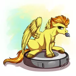 Size: 3000x3000 | Tagged: safe, artist:lupiarts, derpibooru import, spitfire, pegasus, pony, annoyed, behaving like a cat, digital art, drawing, female, image, jpeg, ponies riding roombas, riding, roomba, silly, silly pony, solo, whistle