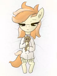 Size: 768x1024 | Tagged: safe, artist:cherro, derpibooru import, oc, oc:raggie, oc:safe haven, unofficial characters only, earth pony, original species, pony, clothes, doll, eyes closed, image, png, shirt, toy