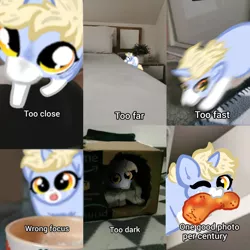 Size: 640x640 | Tagged: safe, artist:nootaz, derpibooru import, oc, oc:nootaz, pony, cheetos, image, irl, mouth hold, one eye closed, photo, png, ponies in real life, ponified animal photo