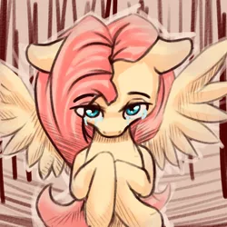 Size: 2000x2000 | Tagged: safe, artist:falses, derpibooru import, fluttershy, pegasus, pony, crying, cute, digital art, eyes open, female, high res, image, looking at you, mare, panic, png, sad, shading, simple background, sketch, solo, spread wings, tears of pain, wings