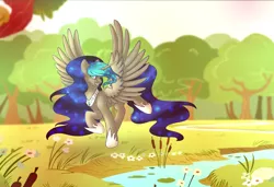 Size: 4093x2794 | Tagged: safe, artist:dinkydoolove, derpibooru import, oc, unofficial characters only, alicorn, pony, alicorn oc, ethereal mane, female, hoof shoes, horn, image, jpeg, looking back, mare, outdoors, river, solo, starry mane, water, wings