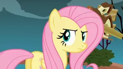 Size: 1280x720 | Tagged: safe, derpibooru import, screencap, fluttershy, pegasus, pony, putting your hoof down, season 2, female, fluttershy is not amused, i'm not satisfied, image, implied iron will, jpeg, looking at you, mare, solo, unamused
