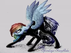 Size: 604x453 | Tagged: semi-grimdark, artist:sparkingsnowflake, derpibooru import, rainbow dash, fanfic:rainbow factory, angry, black suit, bodysuit, clothes, dyed tail, evil, fanfic art, floppy ears, frown, gray background, gritted teeth, image, jpeg, looking offscreen, rainbow factory dash, ready to fight, simple background, solo, spread wings, tail, wings