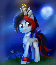 Size: 1141x1321 | Tagged: safe, artist:hibikiarts, derpibooru import, oc, unofficial characters only, earth pony, pegasus, pony, duo, ear piercing, earring, grass, halo, image, jewelry, male, moon, necklace, night, piercing, png, size difference, small pony, smiling, stallion, wristband