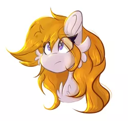 Size: 2102x1992 | Tagged: safe, artist:tizhonolulu, derpibooru import, oc, oc:cookie byte, unofficial characters only, pegasus, pony, bust, cheek fluff, chest fluff, eye clipping through hair, eyebrows, eyebrows visible through hair, eyelashes, female, frown, high res, image, mare, pegasus oc, png, portrait, simple background, solo, white background, wings