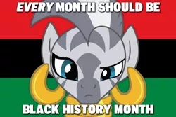 Size: 1080x720 | Tagged: safe, derpibooru import, zecora, zebra, africa, black history month, black lives matter, caption, current events, female, image, image macro, looking at you, mare, mouthpiece, op has a point, op has an opinion, png, politics, text