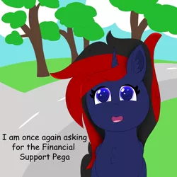 Size: 5000x5000 | Tagged: safe, artist:eminent entropy, derpibooru import, oc, oc:nepeta uchiha, ponified, unofficial characters only, alicorn, pony, background, bernie sanders, cloud, female, image, looking at you, mare, meme, png, ponified meme, road, scenery, solo, tree