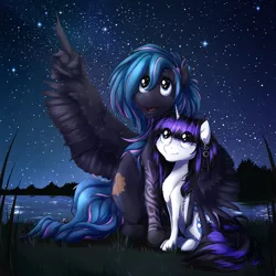 Size: 2449x2449 | Tagged: safe, artist:otkurzacz, derpibooru import, oc, oc:arabesque, oc:morning gloom, unofficial characters only, pegasus, pony, unicorn, couple, ear piercing, earring, female, hug, image, jewelry, male, mare, piercing, png, stallion, stargazing, starry night, winghug, wings