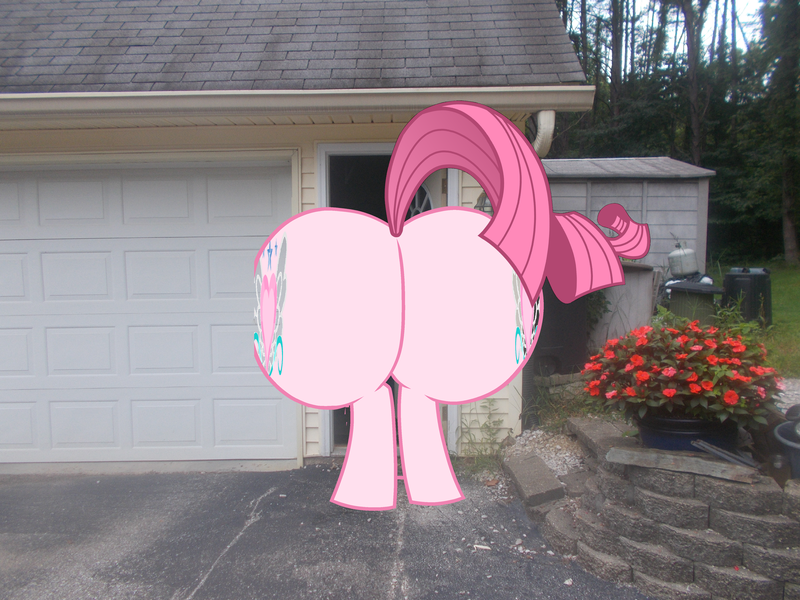 Size: 4608x3456 | Tagged: photographer needed, suggestive, artist:coltfan97, derpibooru import, oc, oc:annisa trihapsari, pony, butt, huge butt, image, impossibly large butt, irl, irl photo, large butt, photo, plot, png, stuck