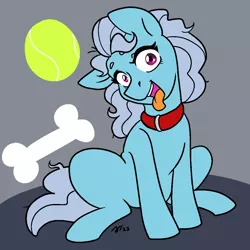 Size: 1000x1000 | Tagged: safe, artist:/d/non, derpibooru import, screw loose, earth pony, ball, behaving like a dog, bone, collar, gray background, grey hair, image, open mouth, png, simple background, sitting, tennis ball, tongue out, wide eyes
