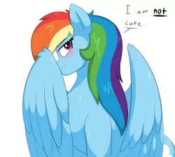 Size: 3000x2700 | Tagged: safe, artist:astrum, derpibooru import, part of a set, rainbow dash, pegasus, pony, angry, blushing, chest fluff, covering face, cute, dashabetes, dialogue, digital art, female, flustered, frown, high res, i'm not cute, image, looking away, looking up, madorable, mare, png, simple background, sitting, solo, talking to viewer, tsunderainbow, tsundere, white background, wings