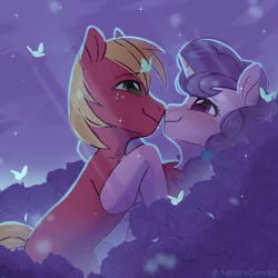 Size: 3300x3300 | Tagged: safe, artist:auroracursed, derpibooru import, big macintosh, sugar belle, butterfly, insect, pony, unicorn, couple, image, night, png, romantic, shipping