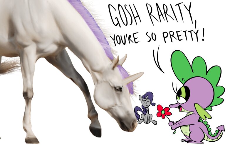 Size: 3000x2000 | Tagged: safe, artist:swagstapiece, derpibooru import, rarity, spike, dragon, horse, pony, unicorn, dialogue, eyelashes, female, flower, image, jpeg, male, shipping, simple background, sparity, straight, white background