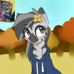 Size: 666x666 | Tagged: safe, artist:zebra, derpibooru import, oc, oc:mahiro, unofficial characters only, zebra, pony town, autumn, blushing, clothes, flower, flower in hair, hoodie, image, open mouth, png, solo