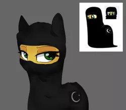 Size: 1071x943 | Tagged: safe, alternate version, artist:zebra, derpibooru import, oc, oc:سحابة-ممطرة, unofficial characters only, hijab, image, islam, png, simple background, solo