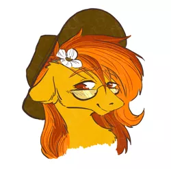 Size: 1899x1873 | Tagged: safe, artist:rover, artist:rrrover, derpibooru import, oc, earth pony, pony, bust, cowboy hat, flower, flower in hair, glasses, hat, image, png, portrait, solo