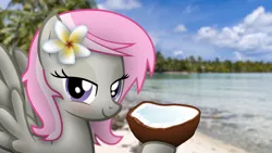 Size: 3265x1837 | Tagged: photographer needed, safe, artist:stormxf3, derpibooru import, oc, oc:sweet shutter, pegasus, pony, beach, coconut, female, flower, flower in hair, food, french polynesia, image, irl, irl photo, jpeg, lidded eyes, mare, photo, ponies in real life