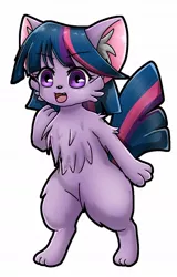 Size: 720x1124 | Tagged: safe, artist:namaenonaipony, derpibooru import, twilight sparkle, cat, catified, cheek fluff, chest fluff, ear fluff, image, jpeg, simple background, solo, species swap, white background