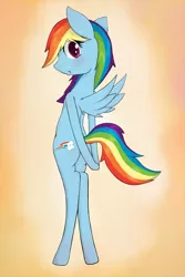 Size: 800x1200 | Tagged: safe, artist:zokkili, derpibooru import, rainbow dash, pegasus, pony, bipedal, image, jpeg, orange background, simple background