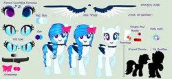 Size: 5520x2536 | Tagged: safe, artist:yulianapie26, derpibooru import, oc, oc:eis gewitter, unofficial characters only, pegasus, pony, base used, colored wings, eyelashes, female, heterochromia, image, mare, pegasus oc, png, raised hoof, reference sheet, simple background, slit pupils, smiling, transparent background, two toned wings, wings