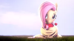Size: 3840x2160 | Tagged: safe, artist:lagmanor, derpibooru import, part of a set, fluttershy, pegasus, pony, 3d, blushing, flower, grass, grass field, heart, hearts and hooves day, hoof hold, hooves, image, looking at you, mane, morning, mouth hold, png, rose, shy, sitting, smiling, smiling at you, solo, source filmmaker