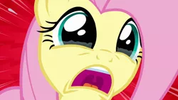 Size: 1280x720 | Tagged: safe, derpibooru import, screencap, pegasus, pony, castle mane-ia, season 4, close-up, crying, fluttercry, image, implied angel bunny, open mouth, png, screaming, solo, tears of fear, teary eyes