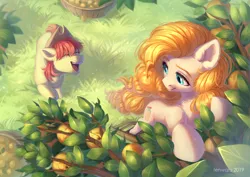 Size: 3507x2480 | Tagged: safe, artist:fenwaru, derpibooru import, bright mac, pear butter, earth pony, pony, brightbutter, cute, ear fluff, eyes closed, female, image, male, mare, open mouth, pear tree, png, shipping, stallion, straight, tree