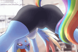 Size: 800x532 | Tagged: suggestive, artist:shad0w-galaxy, derpibooru import, rainbow dash, anthro, pegasus, all fours, animated, ass up, black bottomwear, blushing, breasts, butt, clothes, colored wings, compression shorts, female, gif, gym, gym shorts, image, indoors, multicolored hair, multicolored mane, multicolored tail, multicolored wings, open mouth, patreon, presenting, rainbow hair, rainbow wings, rear view, shirt, shorts, solo, solo female, spread wings, tail, tomboy, white topwear, wings