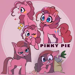 Size: 1000x1000 | Tagged: safe, artist:mametaro_m, derpibooru import, pinkie pie, earth pony, pony, arrow, beetroot, bust, emanata, female, full body, image, jpeg, looking at something, looking at you, mare, one eye closed, partial background, pink background, pinkamena diane pie, plant, rock, simple background, text, wink, winking at you