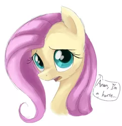 Size: 424x438 | Tagged: safe, artist:dotkwa, derpibooru import, fluttershy, pegasus, pony, bust, female, image, implied anon, mare, png, simple background, solo, speech bubble, white background