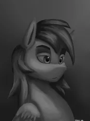 Size: 1000x1346 | Tagged: safe, artist:vezja, derpibooru import, rainbow dash, pegasus, pony, abstract background, black and white, bust, female, grayscale, image, mare, monochrome, png, portrait, simple background, solo