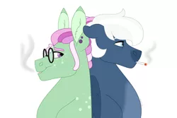Size: 1280x854 | Tagged: safe, artist:itstechtock, derpibooru import, oc, oc:herbal remedy, oc:snowfall smoking, unofficial characters only, pony, cigarette, glasses, image, jpeg, male, offspring, parent:double diamond, parent:night glider, parent:tree hugger, parents:nightdiamond, simple background, stallion, white background